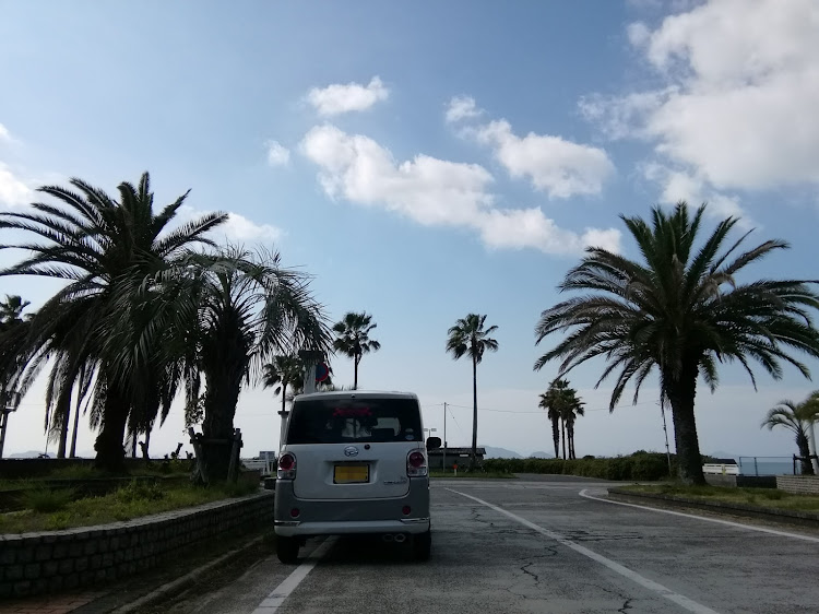 ムーヴキャンバスのヤシの木コラボ・一人撮影会・#沙美海岸・緊急事態宣言延長・海に関するカスタム事例の投稿画像3枚目