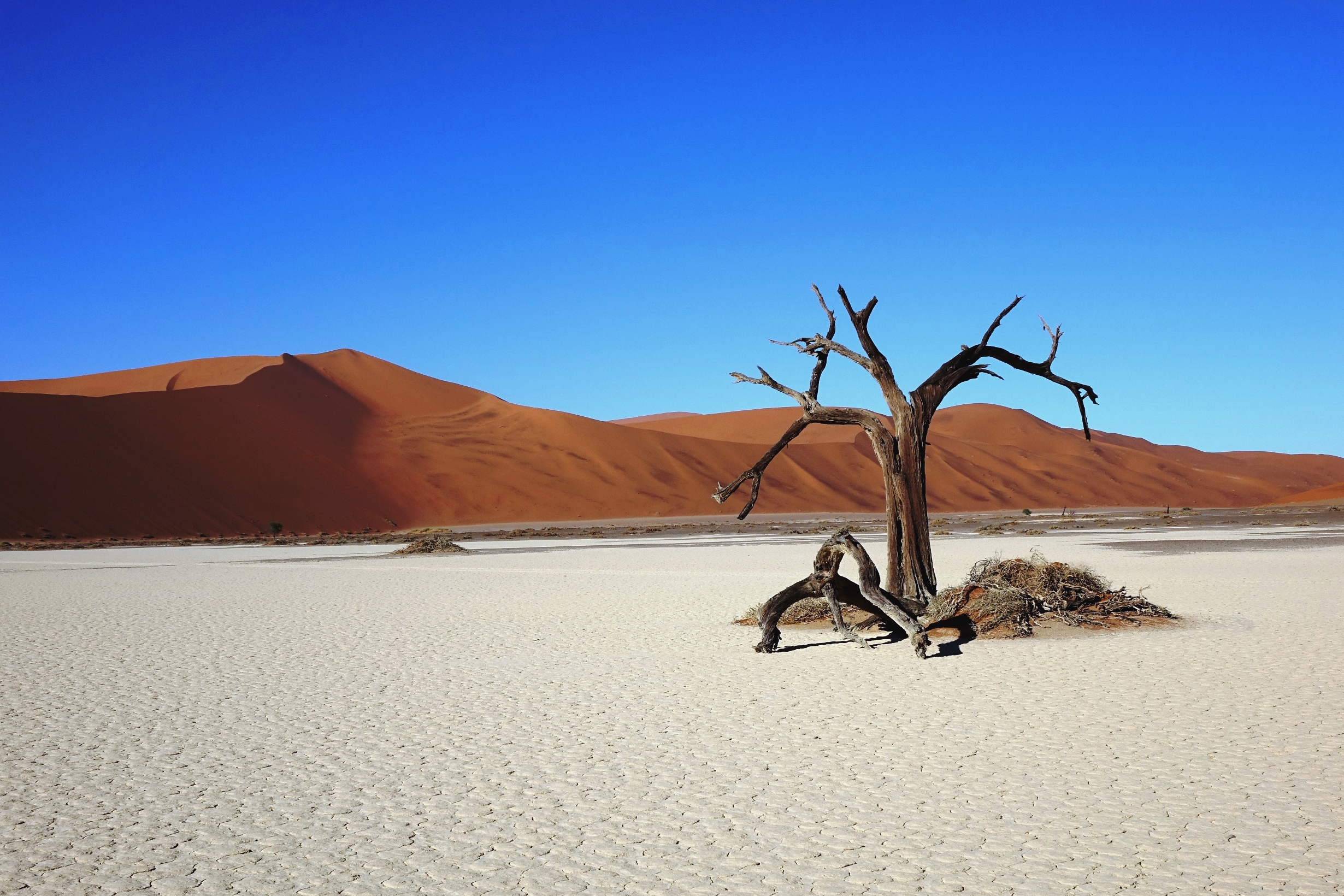 Hidden Vlei di Alessandro Pezzo