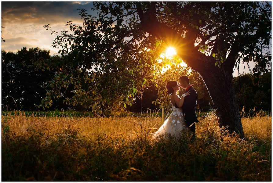 Wedding photographer Igor Link (igorlink). Photo of 11 September 2013