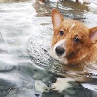 水源地餐廳