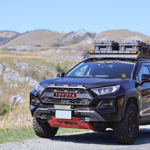 RAV4 MXAA54