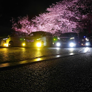ヴェルファイア AGH30W