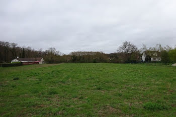 terrain à Saint-Pierre-lès-Nemours (77)