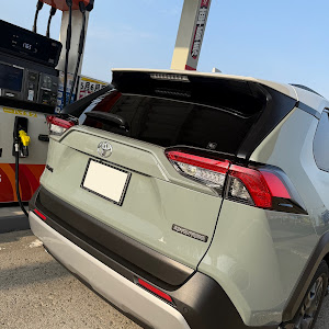RAV4 AXAH54