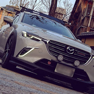 CX-3 DK5FW