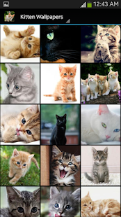 How to install Kitten Wallpapers patch 1.1 apk for android