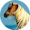 Item logo image for Horse Wallpaper