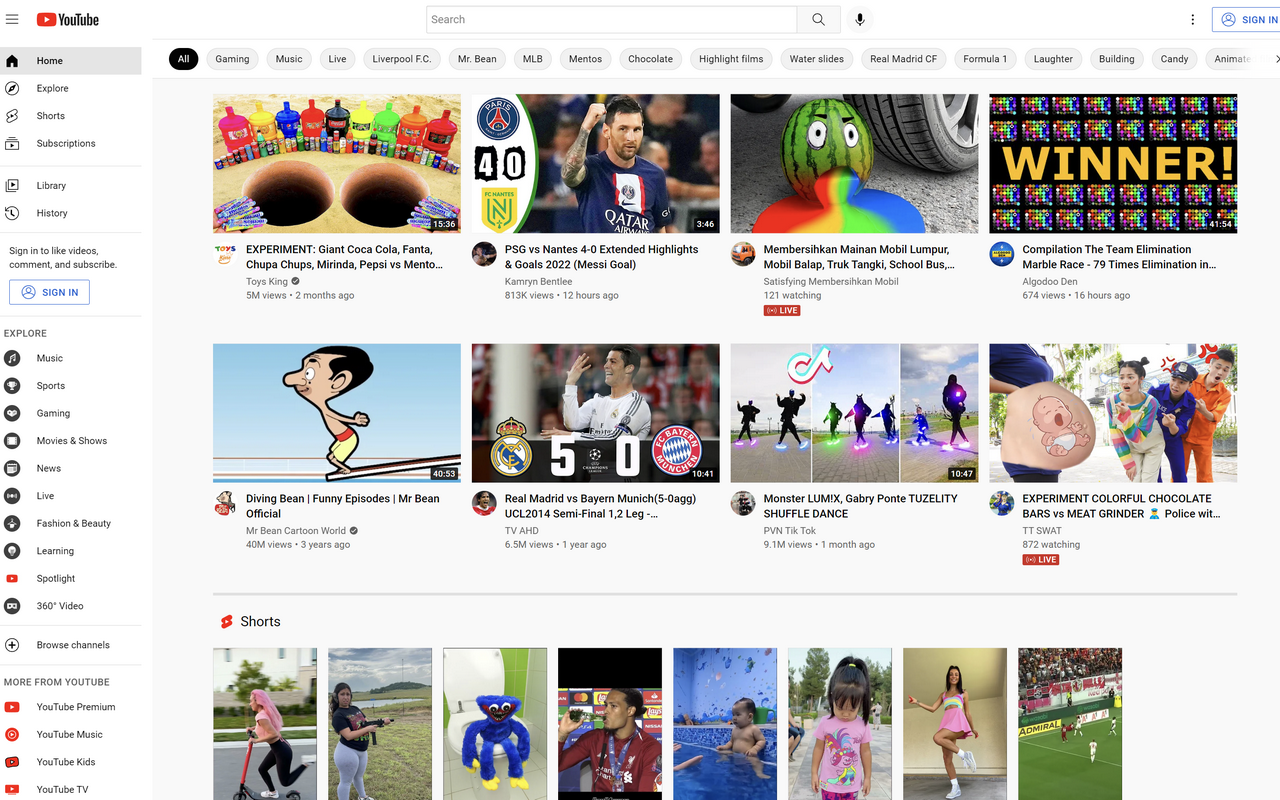 YouTube Adblock For Chrome Preview image 2