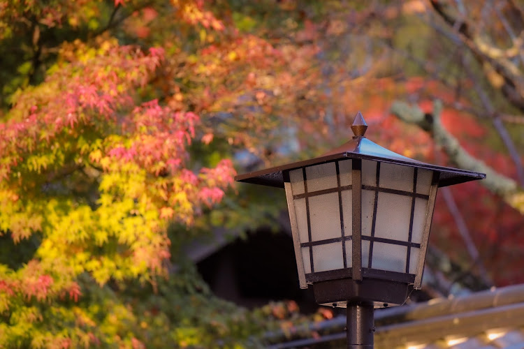 ミラココアの紅葉ドライブ・ぼっちカメ活・岩国・錦帯橋・紅葉谷公園に関するカスタム事例の投稿画像4枚目