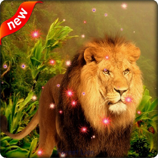 Lion Live Wallpaper Apps On Google Play