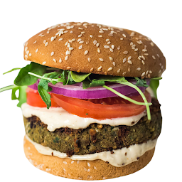Falafel Specialty Burger