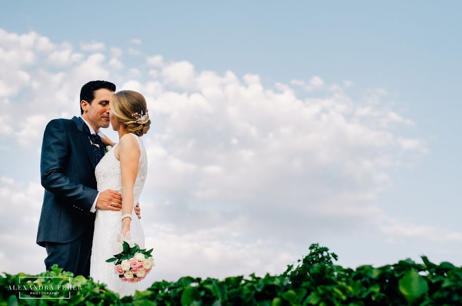 Fotógrafo de bodas Alexandra Fehér (alexandrafeher). Foto del 22 de octubre 2018