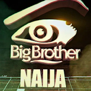 Big Brother Naija