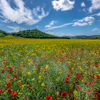 La valle dei fiori di 