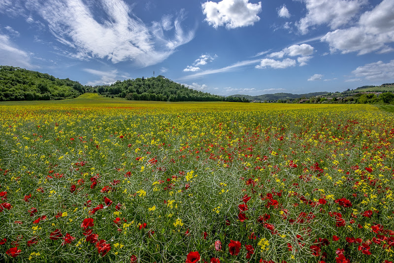 La valle dei fiori di Adri-Mugna