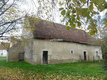 maison à Châteauneuf-sur-Cher (18)