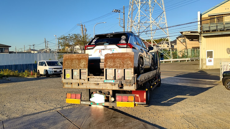 RAV4のおんぶバッタ🦗・チープな絵に関するカスタム事例の投稿画像1枚目