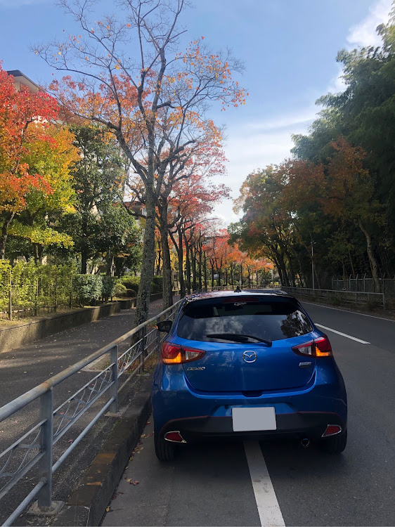 デミオの紅葉🍁・洗車・ドライブ・ドライブスポットに関するカスタム事例の投稿画像2枚目