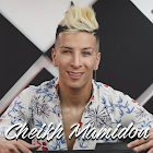 شيخ ماميدو Cheikh Mamidou