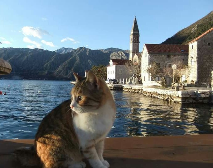 Perast,Montenegro di ljubinkadidanovic