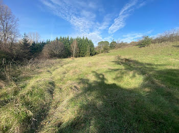 terrain à Saint-Maurice-l'Exil (38)