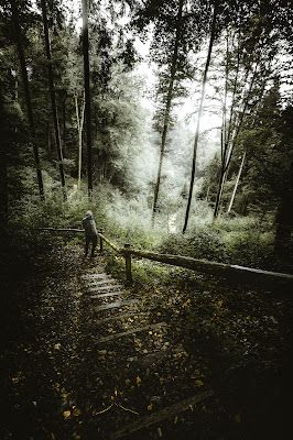 Solo accompagnato dalla natura di federico_chiesa