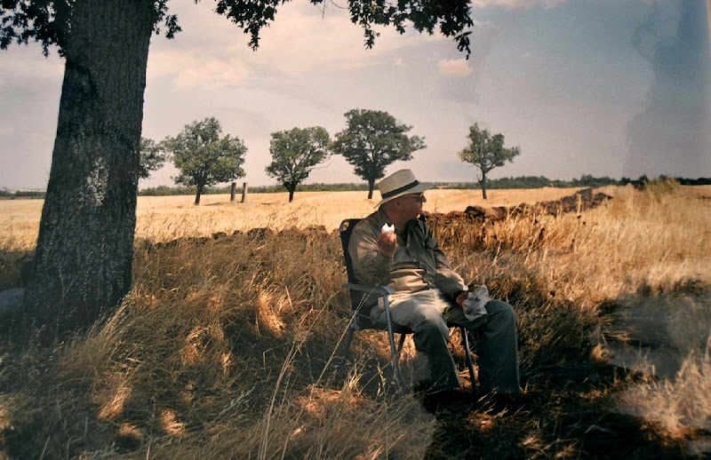 petit déjeuner sur l'herbe di giride