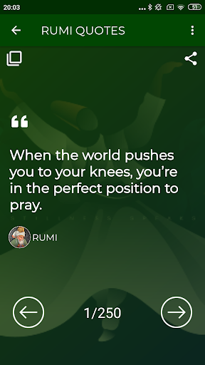 Rumi Quotes Offline