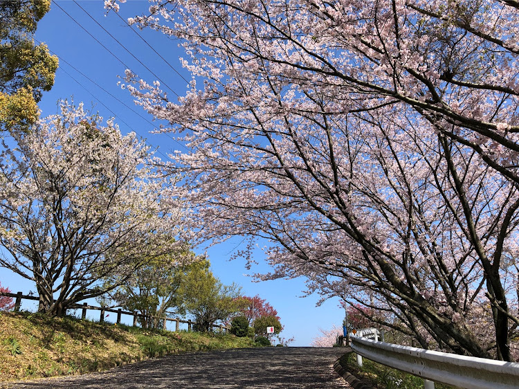 の投稿画像7枚目