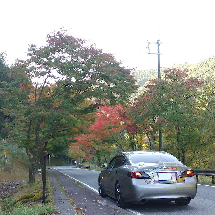 フーガの奈良県吉野郡天川村・釈迦岳登山口停留所・道沿いの紅葉に関するカスタム事例の投稿画像4枚目