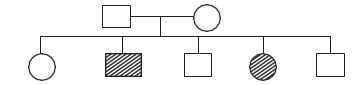 Pedigree Analysis