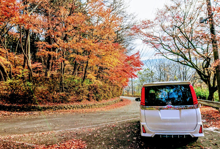 ヴォクシーの紅葉コラボ・紅葉と愛車・自然×愛車・落ち葉コラボに関するカスタム事例の投稿画像3枚目