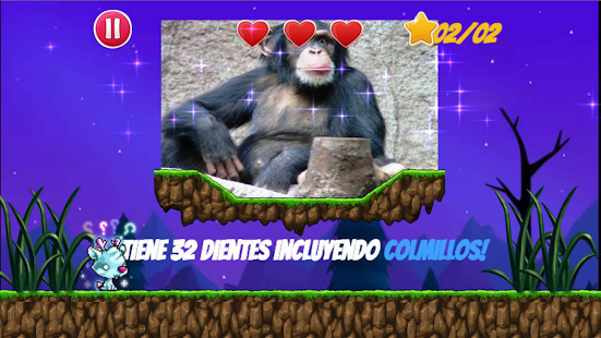 ANIMALS(圖5)-速報App