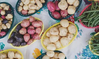 Green Fresh Vegetables & Fruit Shop