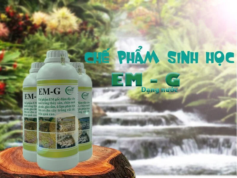 Chế phẩm sinh học EM gốc 1 lít