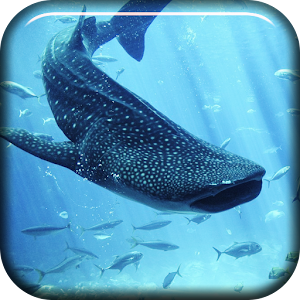 Whale Shark Live Wallpaper.apk 1.0