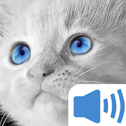 Meow Cat Sounds  Icon