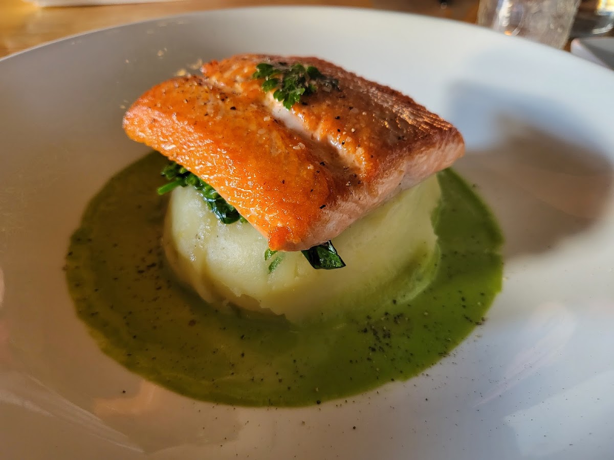 Steelhead entrée