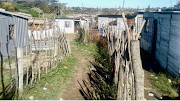 Residents in Amalinda Forest informal settlement in East London want the municipality to provide electricity. Several people have been electrocuted by illegal connections.