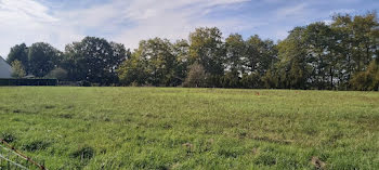 maison neuve à Cérans-Foulletourte (72)