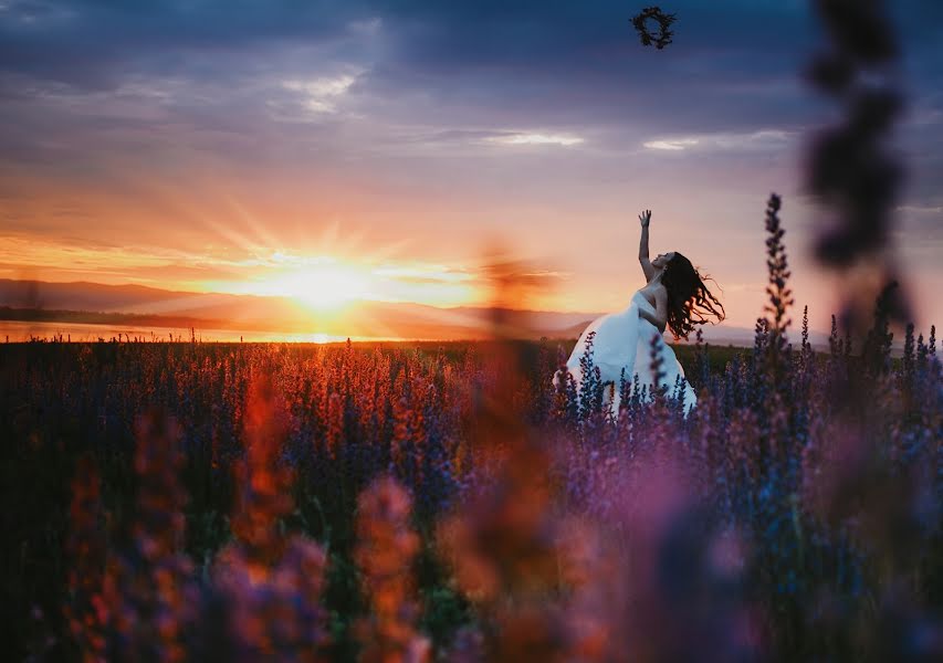 Fotógrafo de bodas Mariya Averina (avemaria). Foto del 18 de julio 2016