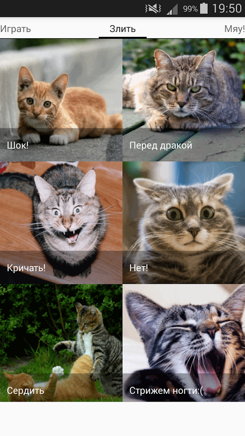 кошки звуки скачать
