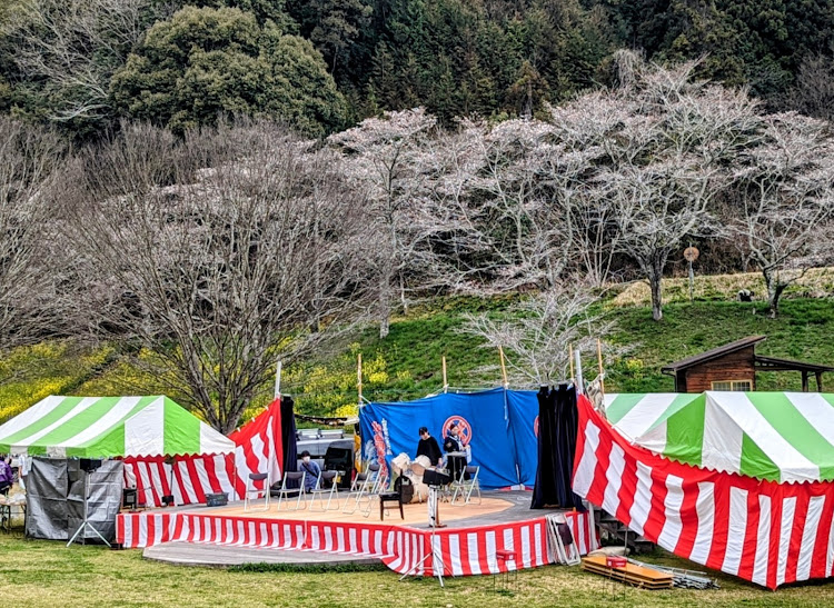 ビートのドライブ・弥栄ダム・神楽・菜の花・さくらに関するカスタム事例の投稿画像2枚目