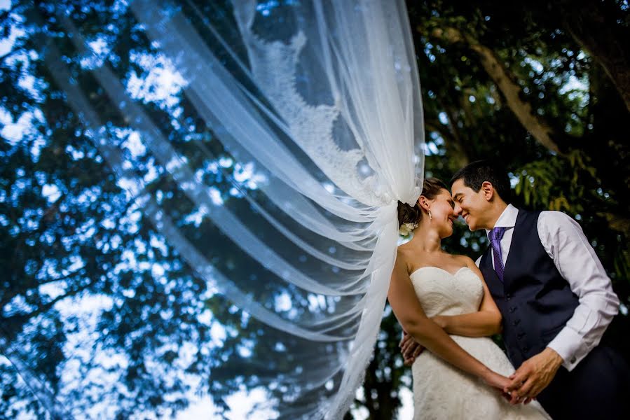 Wedding photographer Theo Martinez (theomartinez). Photo of 13 February 2016