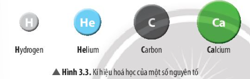 Câu hỏi trang 20 SGK TN&XH 7 CTST tập 1 