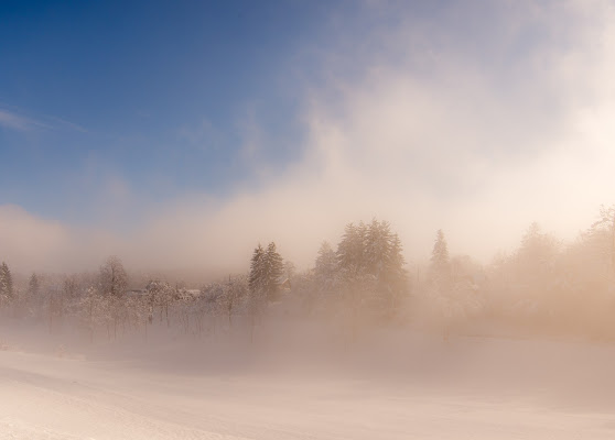 Mattino d'inverno di marco_croci