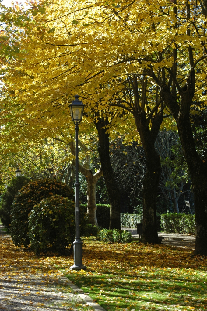 Viale d'aututnno di maremar