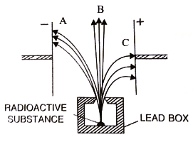 Nuclear Physics and Radioactivity