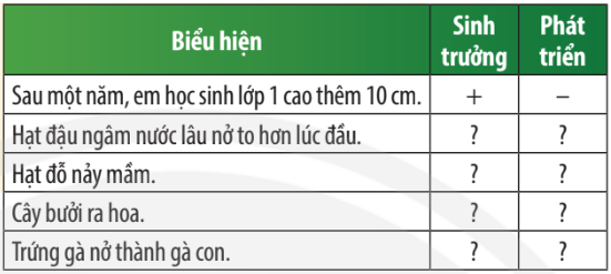 Câu hỏi trang 156 SGK TN&XH 7 CTST tập 1