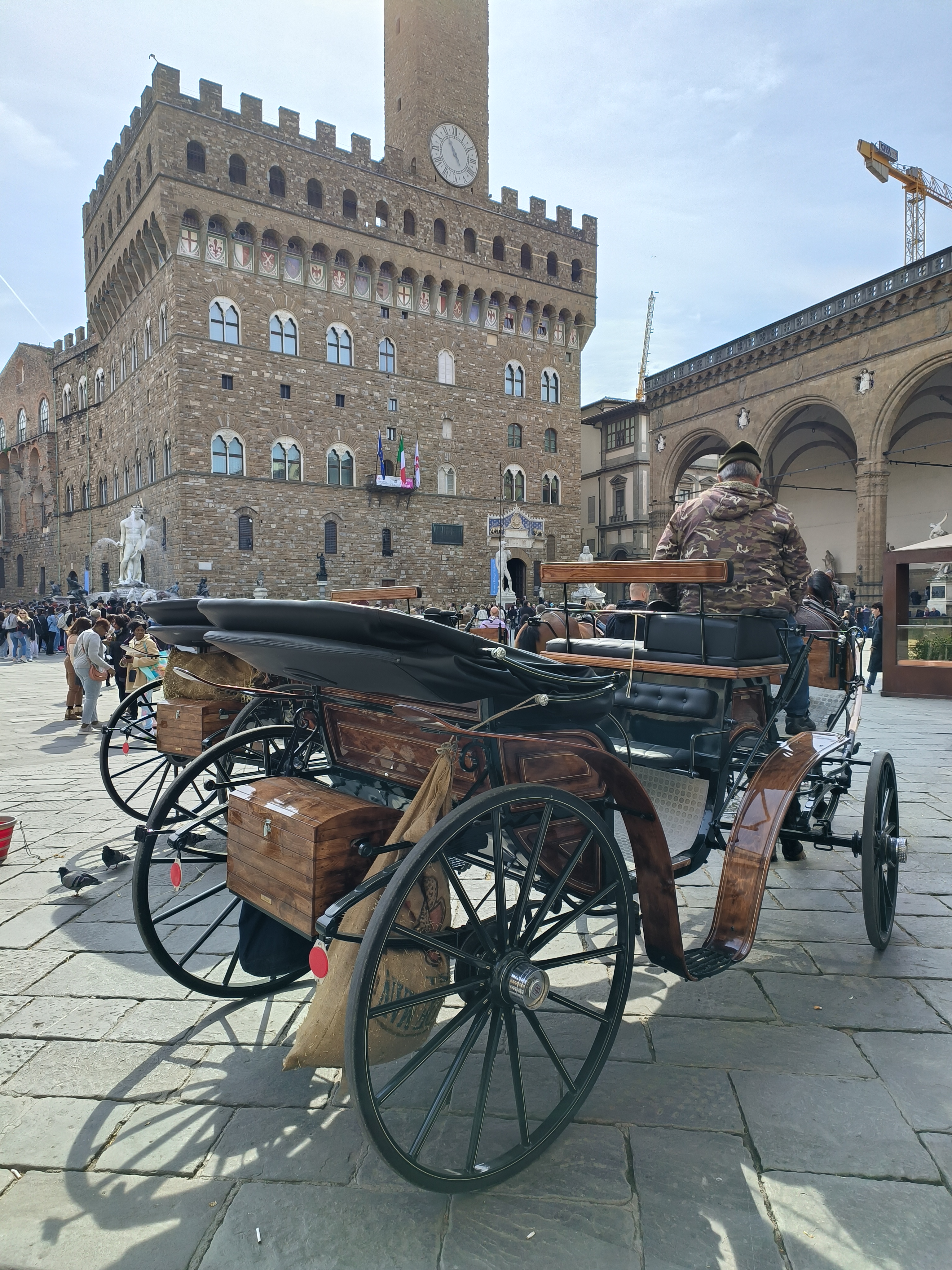 La carrozzella di ArkBruno